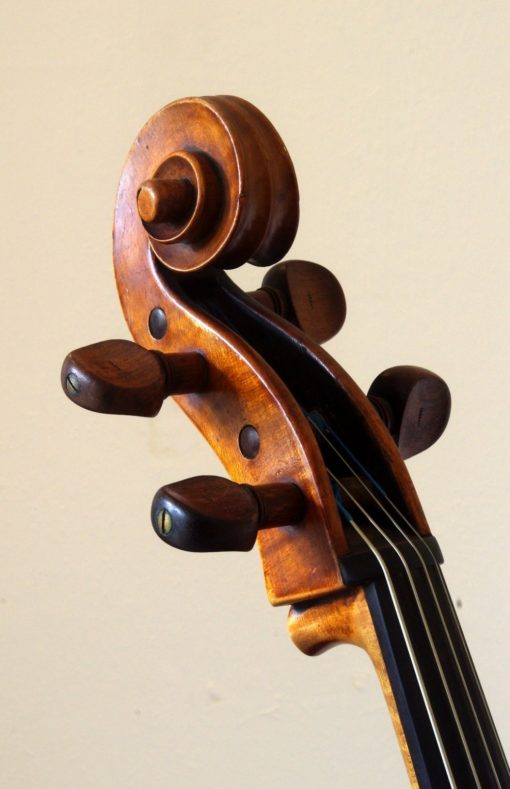 Boheemse Cello eind 19e eeuw