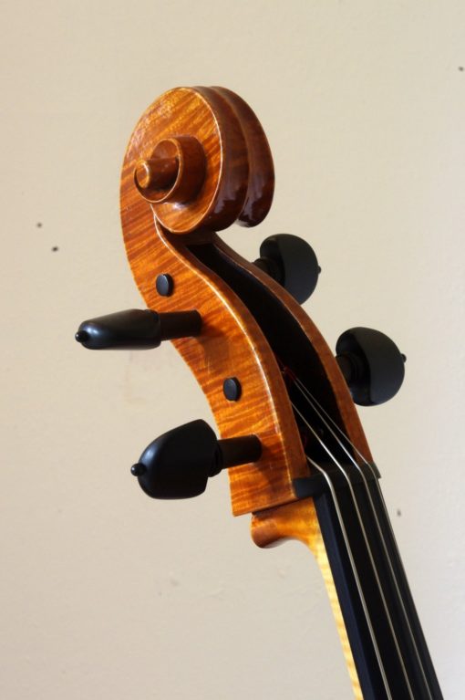 Cello Bas Maas 2008